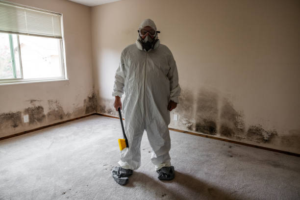  Start, LA Mold Removal Pros